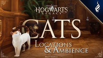 Hogwarts Legacy Ambience & Music 🔮 Cat Locations | Relaxing Harry Potter Atmosphere