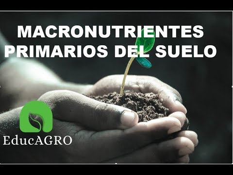 Video: ¿Qué plantas devuelven nutrientes al suelo?