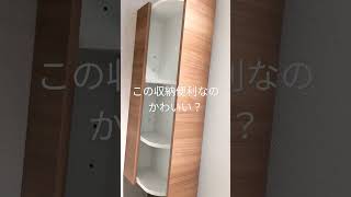 TOTOトイレ収納コーナーキャビネット露出タイプ背面へ設置の例