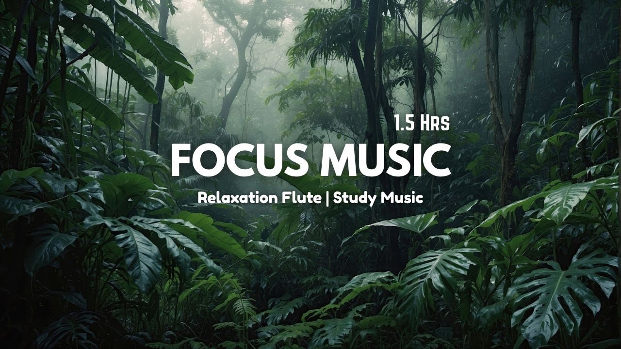 1.5 Hours Deep Focus Flute Instrumental | Calm Music for Study, Exams & Reading | THE Composer