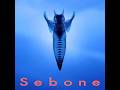 Sebone -脊椎盤- リリース記念配信