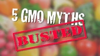 5 GMO Myths Busted