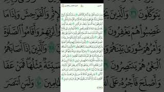 سورة الشورى للقارئ مصطفى رعد الغزاوي 1090