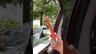 Finger Vs Car Window
