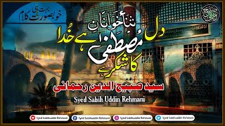 Dil Sanakhwan Hai Khuda Ka Shukar Hai - Syed Sabih Uddin Rehmani