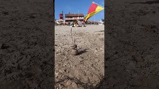 Fos-sur-Mer beach, France. Sand snowman.#shorts