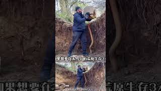 男子用被撞塌的樹屋，竟在森林打造出隱藏的地下豪宅 #地下豪宅，野外建造，树屋，地堡，原始森林，避难所