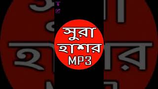 সুরা হাশরের শেষ ৩ আয়াত অডিও screenshot 5