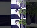 pesona bapak ² anak 1 😋🗿 #sakuraschoolsimulator #fypyoutube #dramachannel