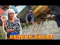 Snake Bite Me | Rat Snake | Rescue | Pokhara | Rohit Giri |