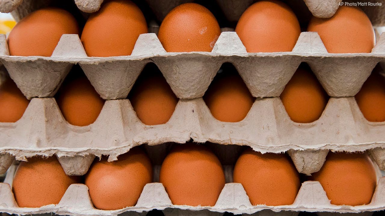 north carolina time 200M egg recall update: 35 salmonella cases reported in 9 states