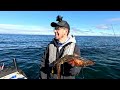 Thick Fog… INSANE Squid Fishing!
