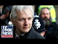 'The Five' reacts to Julian Assange's charges