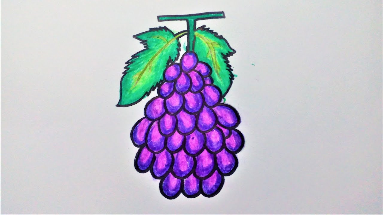 Oil pastel drawing of Grapes Easy step by step kids drawing Kids