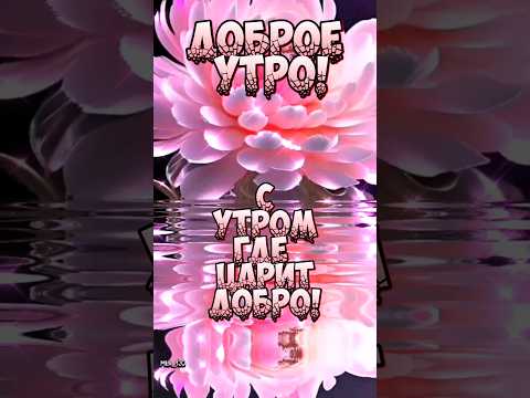 Доброе утро! #доброеутро #сдобрымутром #сдобрымутромоткрыткимузыкальные