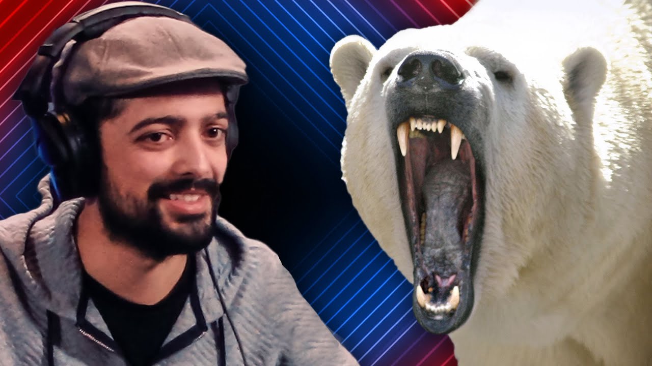 A Polar Bear Ate My Entire Film Budget