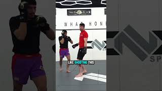 Carlos Prates KILLER Knees Explained