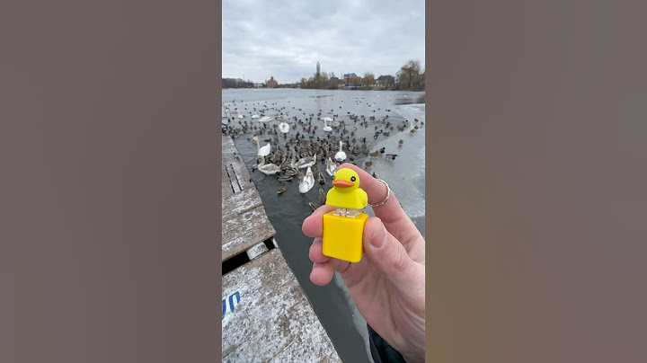 Хлопцям подобається як КРЯКАЮТЬ качки🦆⚠️ #дюха #токсікрум #toxicroom  #duck #toxicduck