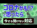 コロナかと思ったら見てください！【薬剤師が解説】