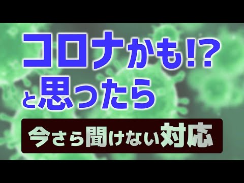 コロナかと思ったら見てください！【薬剤師が解説】