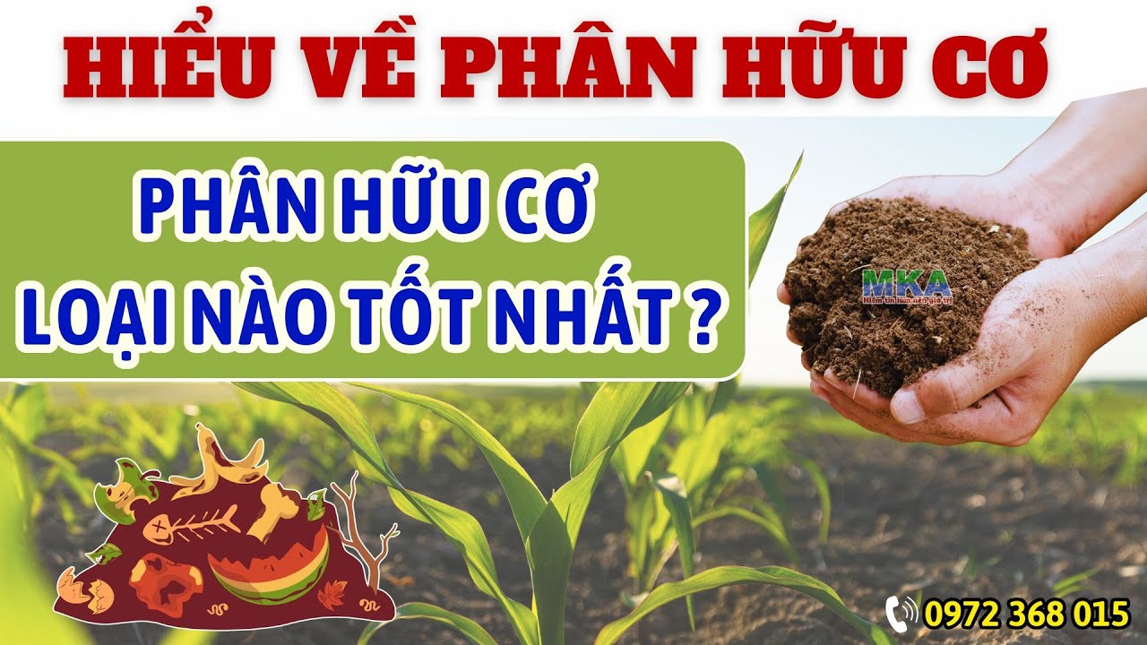 Hiểu Về Hữu Cơ? Loại Phân Hữu Cơ Nào Sử Dụng Tốt Nhất? | Những Yếu Tố Quan Trọng Nông Dân Cần Biết