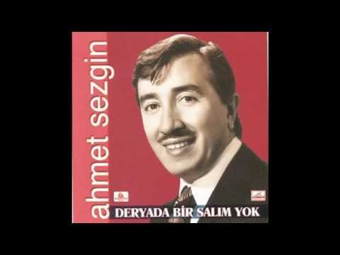 Ahmet Sezgin -