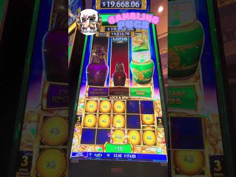 Gioca al Casinò Online in Italia: Scopri l'Esperienza di Real Spin