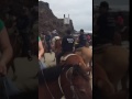 Video failed... horse peeing