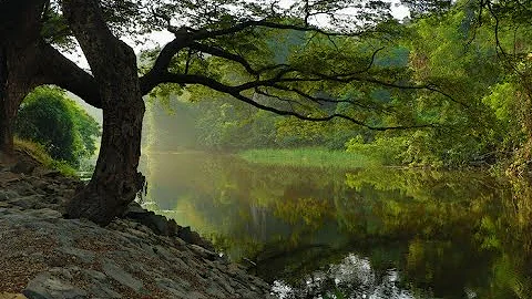 Peace, October 29, 2022 - Elder Troy Banks