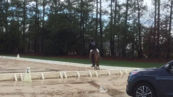 2022 USEF Novice Test B. DGE Swipe Right.