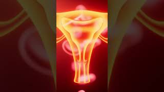 Prolapse Repair Mesh Complications Vs Vnew Biologics