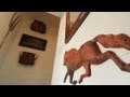 Stairwell and Upstairs Hall Reveal | GHC In-Depth With P. Allen Smith