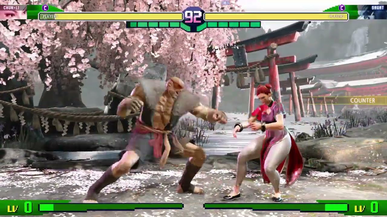 何も考えてないサガット