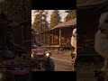 Rufus and bobo made it to the camping spot