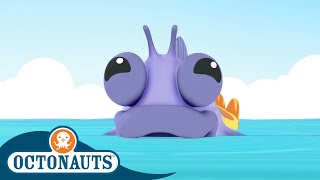 @Octonauts -  🪸 The Combtooth Blenny 🐠 | Season 1 | Full Episodes | Cartoons for Kids