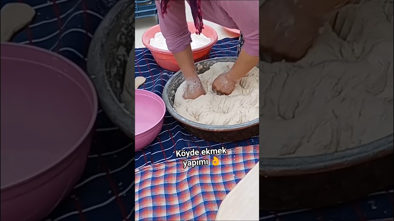 Köyde ekmek yapımı 🍞 #köydehayat #yemektarifleri #temizlikvlog#animals #köy #kitten #cute #food#doğa Köyde ekmek yapımı 🍞 #köydehayat #yemektarifleri #temizlikvlog#animals #köy #kitten #cute #food#doğa