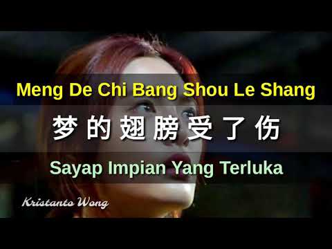 孙露 Sun Lu - 夢的翅膀受了傷 Meng De Chi Bang Shou Le Shang (Sayap Impian Yang Terluka)