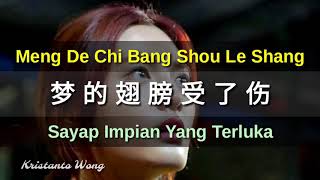 孙露 Sun Lu - 夢的翅膀受了傷 Meng De Chi Bang Shou Le Shang (Sayap Impian Yang Terluka)