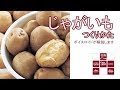 【山新】じゃがいもの育て方 how to grow potato