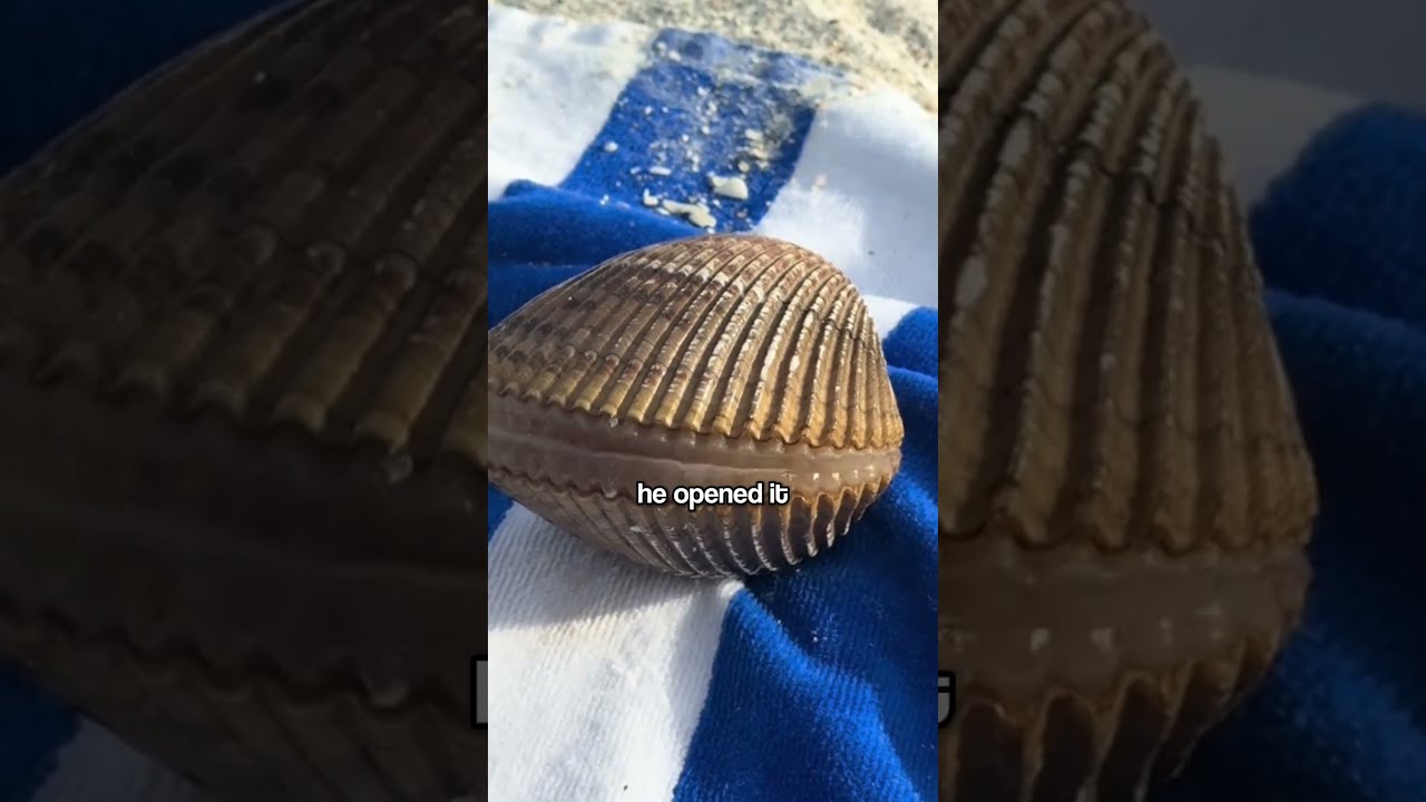 He Thought It Was A Pearl Then The Oyster Moved 