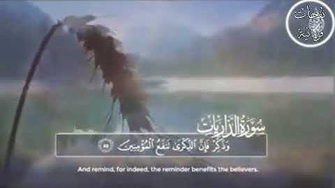 القارئ الشيخ رياض الحيالي(ما تيسر من سورة الذاريات)