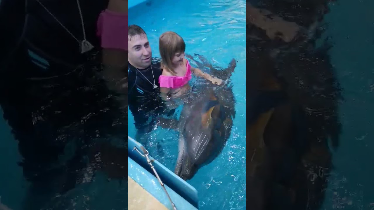 дельфин ёжик, самый маленький ему 1год и 2 месяца 🤩 