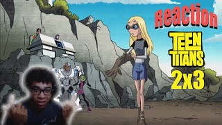 Teen Titans - 2x3 - Reaction (Terra)
