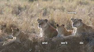 Cth Mantheakis Fb 2024