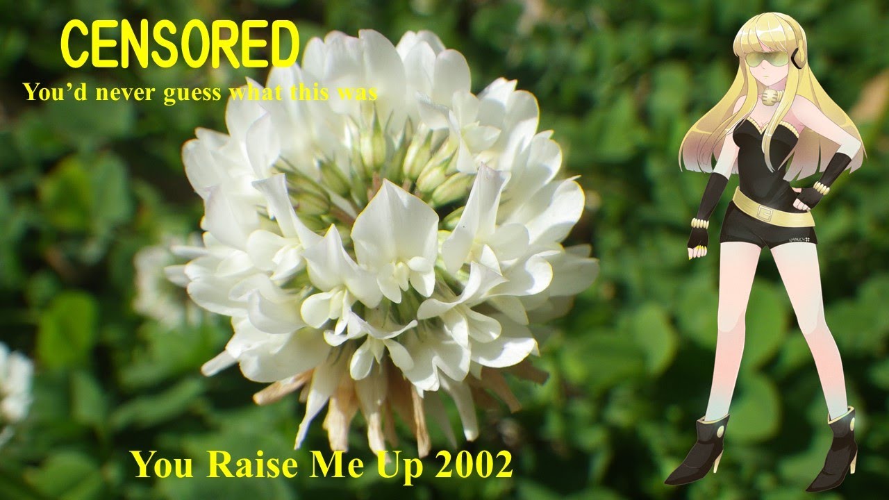 英語歌詞と和訳 You Raise Me Up ユー レイズ ミー アップ Phaeo00 Cyber Diva ほぼじゅびふぉ 英語歌詞と和訳 You Raise Me Up ユー レイズ ミー アップ Phaeo00 Cyber Diva ほぼじゅびふぉ