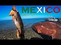 You Shoot Like a Girl - Spearfishing with Baja Azul - part 2