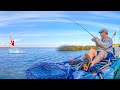 Chasing the Most Sought After Fall Fish - Destin Kayak Fishing