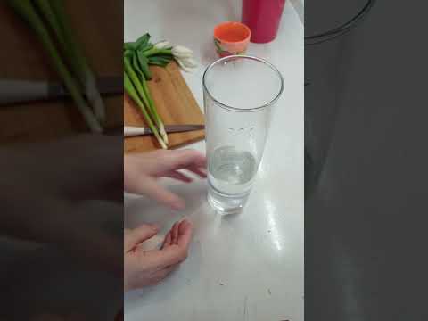 #какоживитьтюльпаны #совет #лайфхак #хитрость #shortsvideo #shorts #lifehacks #8марта #белыетюльпаны