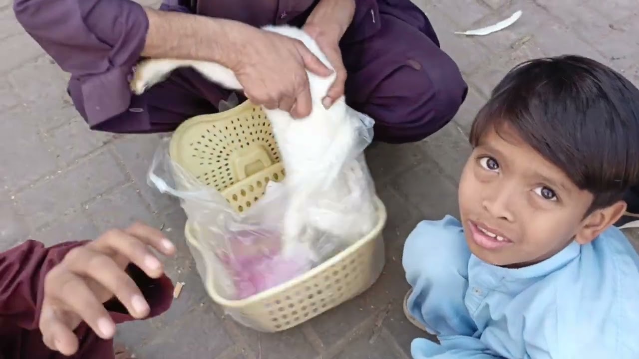 Aje hum Bird market Aya ha