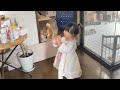 帰宅したら消毒する事をいつの間に覚えていた2歳児